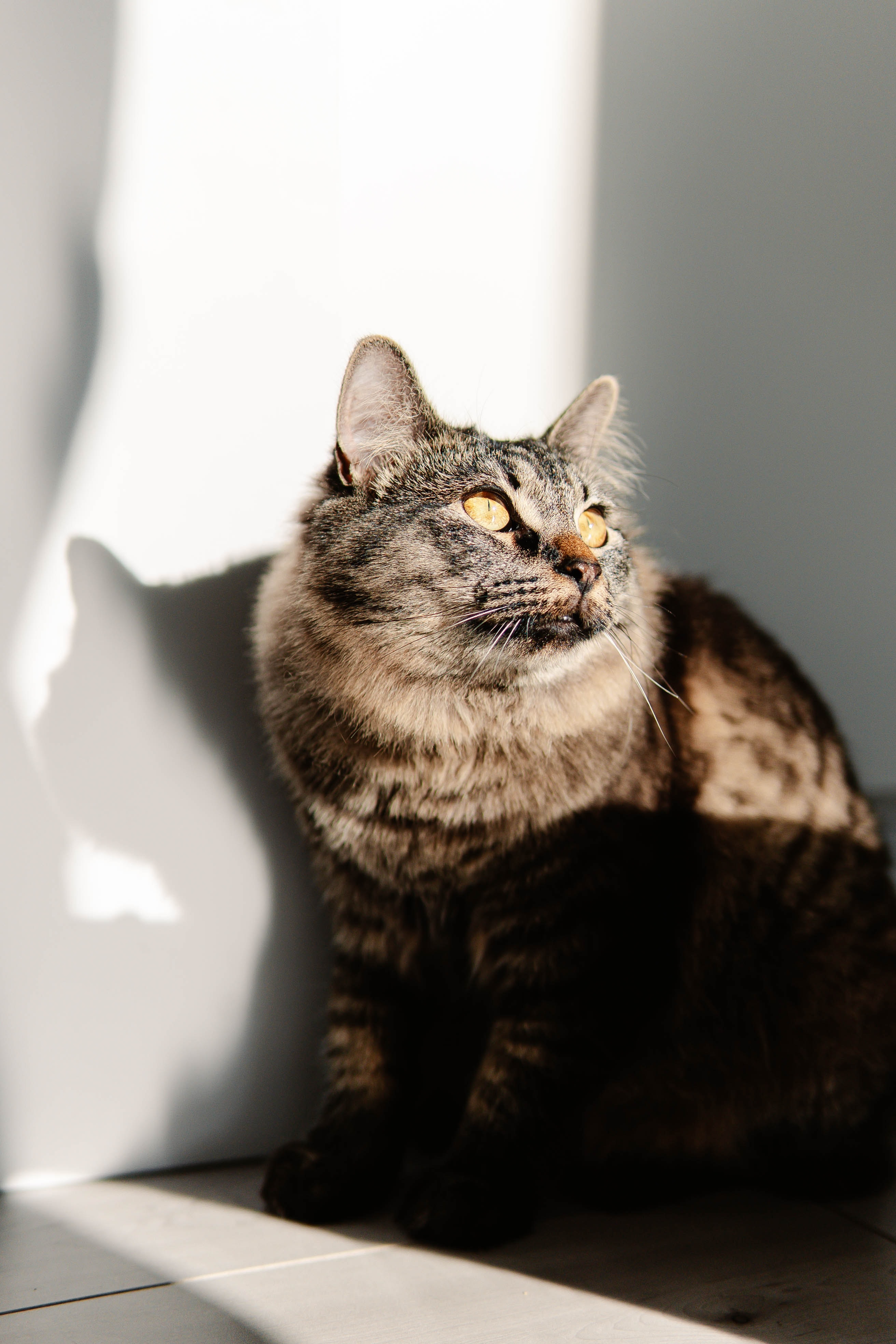 Super cool blog post!